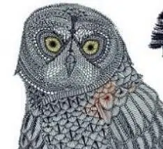 Superintelligence Owl