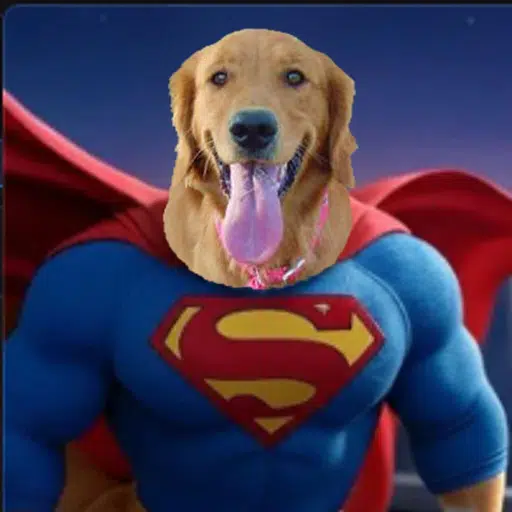 Super Inu